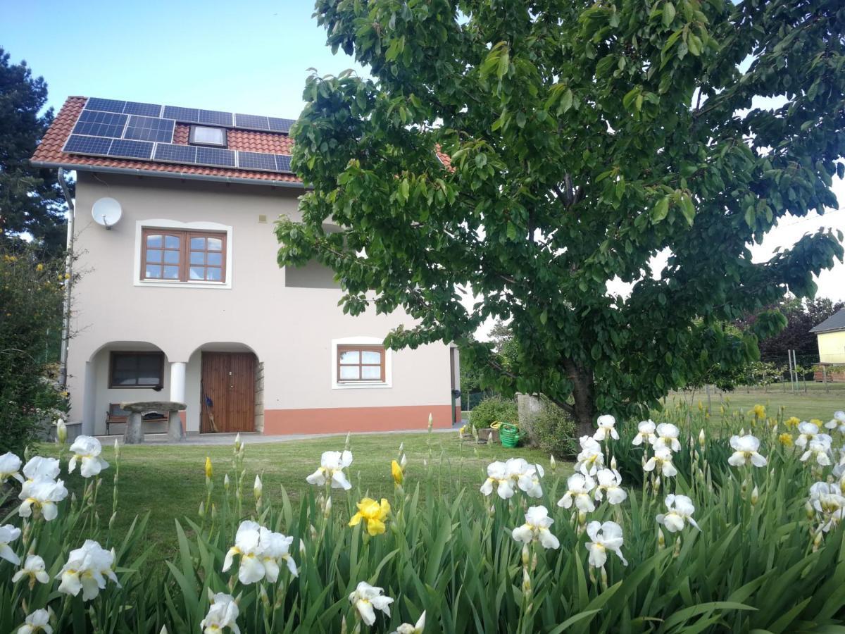 Bottyahat Guesthouse Rezi Εξωτερικό φωτογραφία